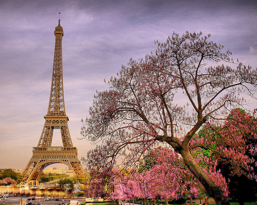 beautiful-colors-eiffel-nature-paris-pink-Favim.com-61788.jpg