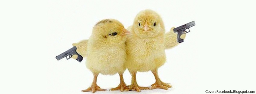 shoot+him+bird+Facebook+Covers.jpg