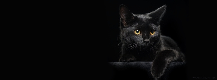 black-cat-facebook-cover.jpg