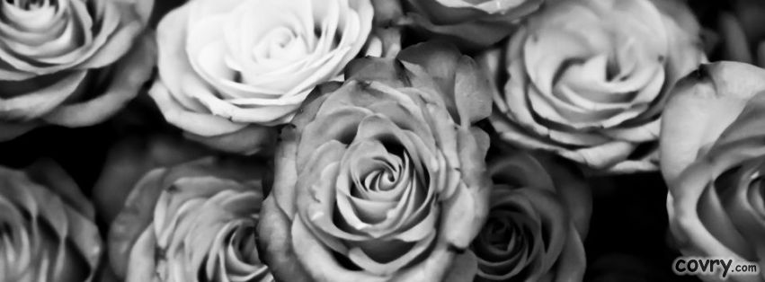 roses-black-and-white.jpg