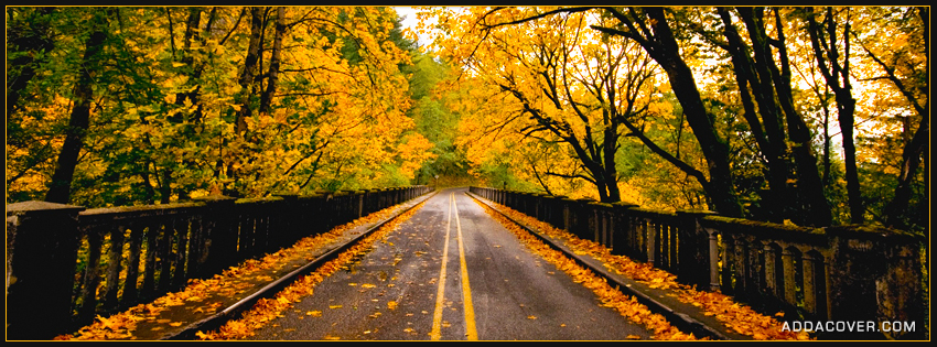 2469-autumn-road.jpg