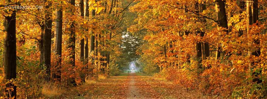 autumn_road_facebook_cover.jpg