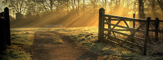 frosty-morning-sunrise-facebook-cover.jpg