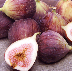figs_1.jpg