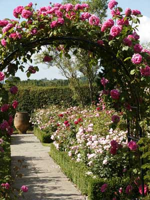 3592c6c4ec7fe220_rose_garden.jpg