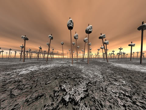 Field-Of-Skulls.jpg