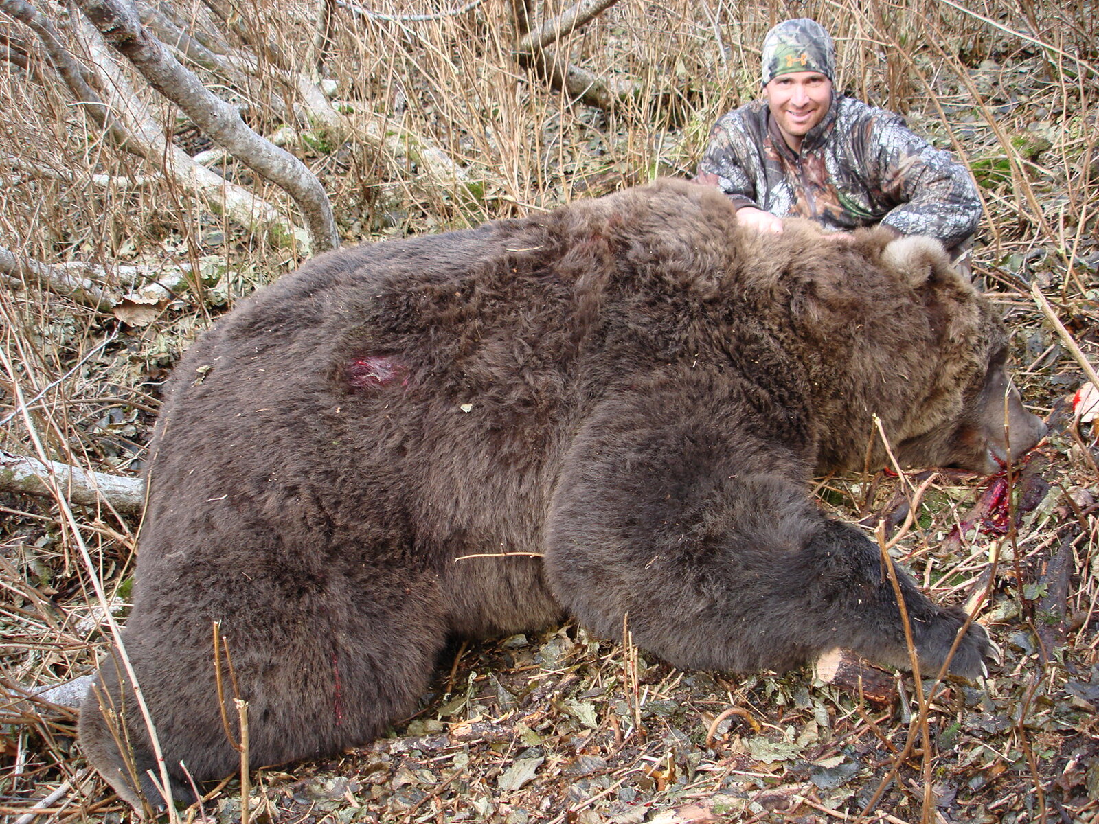 Kodiak-Brown-Bear.jpg