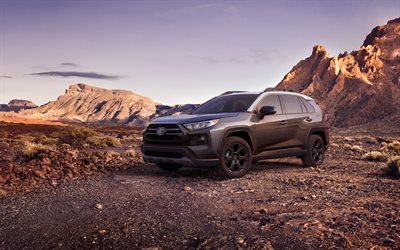 thumb-toyota-rav4-trd-4k-desert-2020-cars-offroad.jpg