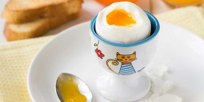 When-How-to-Introduce-Egg-for-Babies-593347760-660x330.jpg