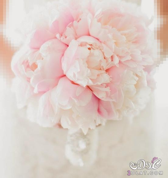 3dlat.com_27_2014)wedding-bouquet-11-1.jpg