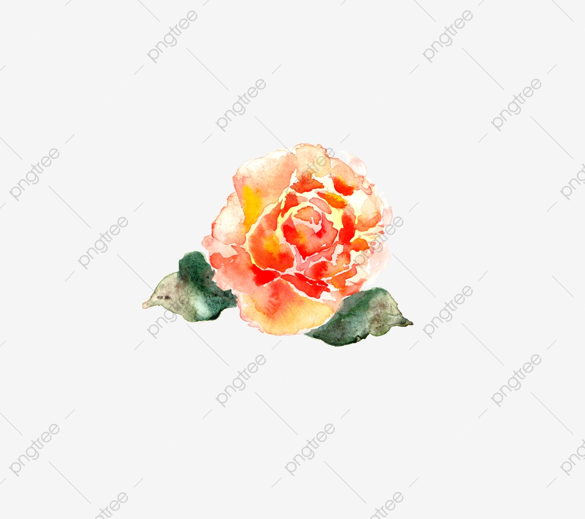 pngtree-watercolor-hand-painted-watercolor-hand-drawn-flower-watercolor-rose-png-image_3935995.jpg