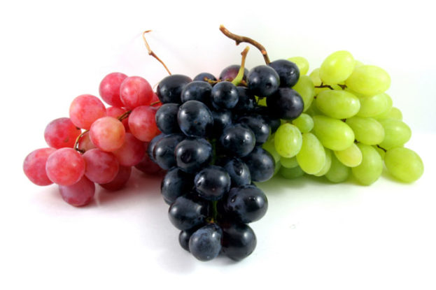 Grape-photos-623x415.jpg