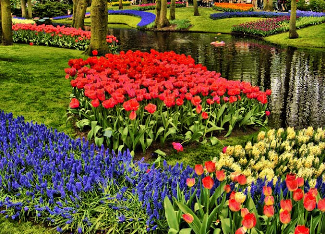 Keukenhof%252C_25_de_abril_de_2009_-_panoramio_-_Kell_Kell.jpg