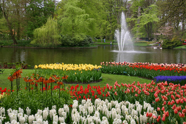 Keukenhof.jpg
