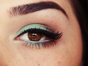 aqua-brown-makeup.jpg