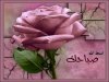 photos_sabah_al-khair_good_morning_03.jpg