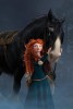 Brave-Wallpaper-brave-iphone4-320x480.jpg